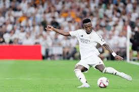 他才得以在 他才得以在